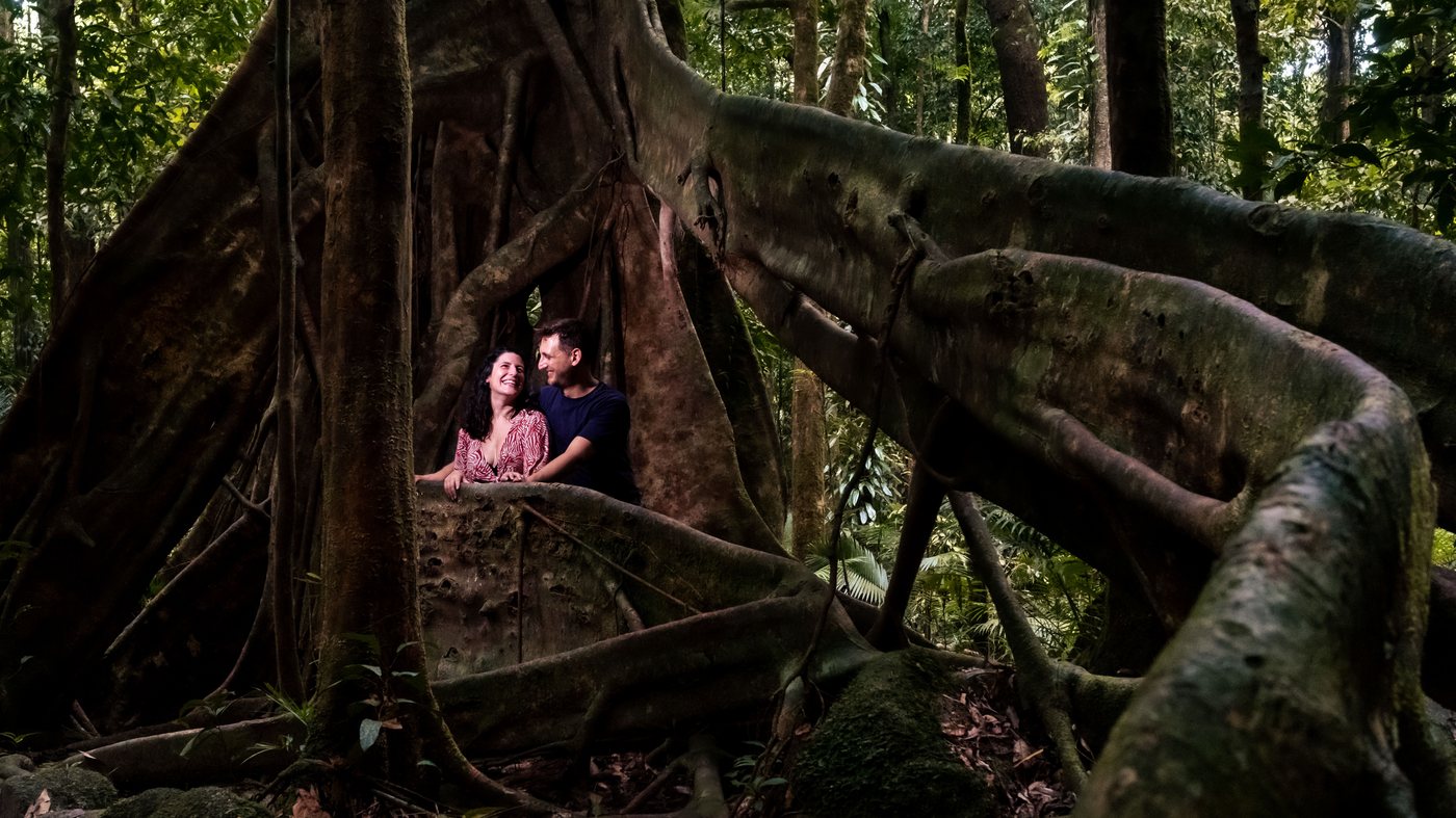 The couple sitting among the huge buttress roots of a strangler fig