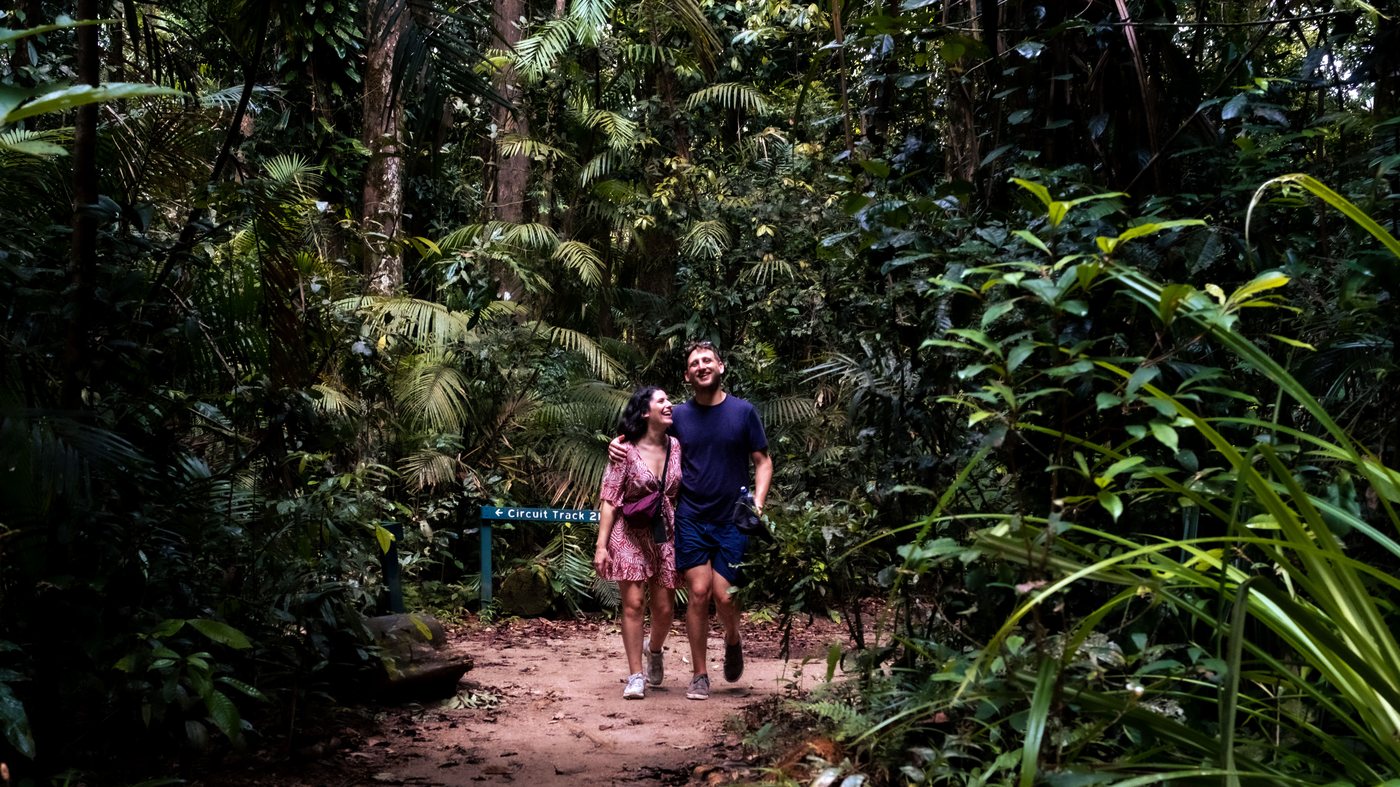 Walking a narrow boardwalk path through dense Daintree rainforest